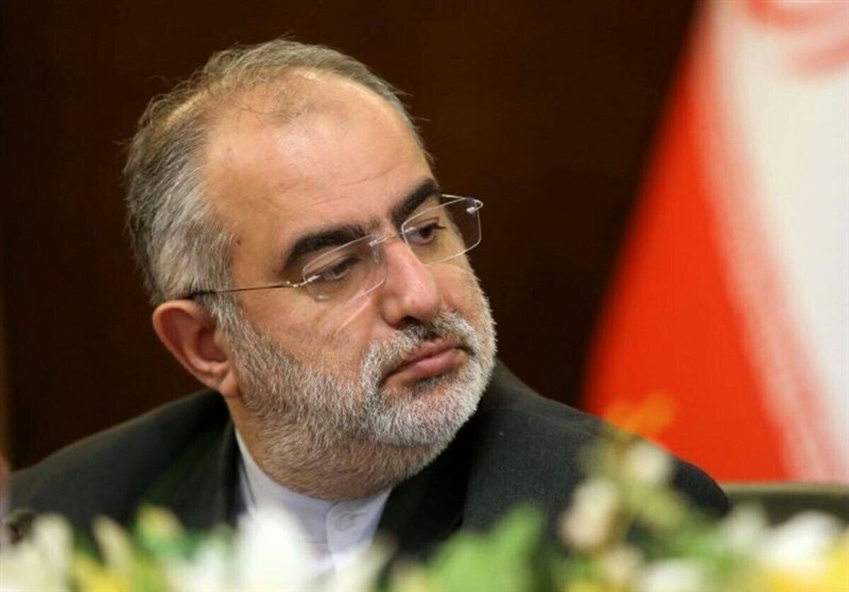حسامالدین آشنا پاسخ منتقدان دولت روحانی برای اسنپبک را داد+عکس