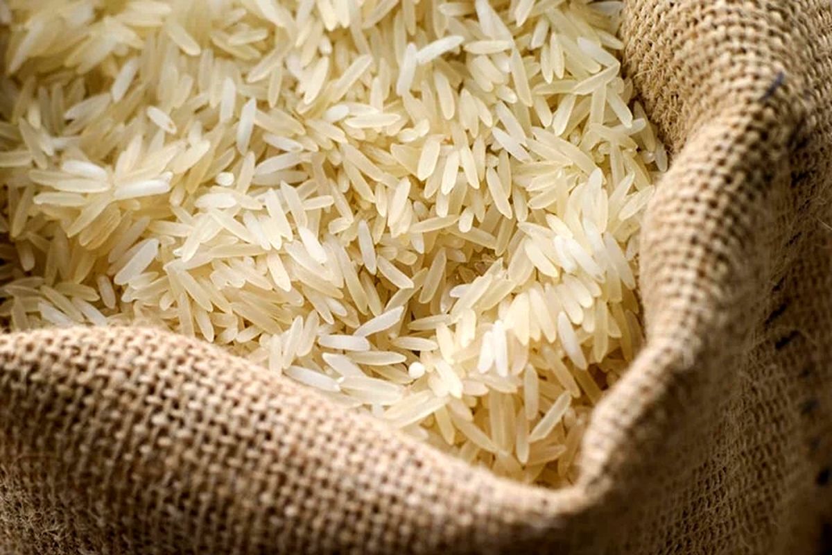 فروش برنج پاکستانی به جای برنج ایرانی با نرخ ۳ برابری!