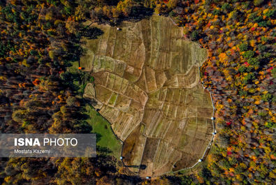 ایران زیباست؛ جایی میان پاییز و زمستان