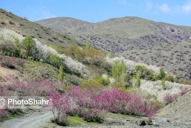 دره ارغوان