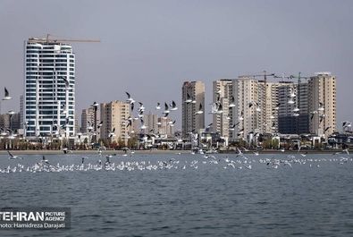 مهاجران اروپای شرقی به تهران آمدند