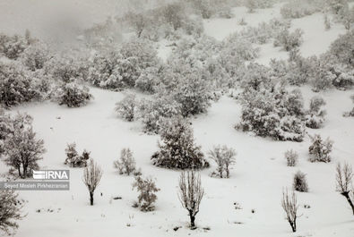 بارش برف کردستان