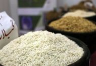 برنج ۵۶ هزار تومانی به بازار آمد