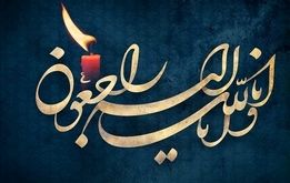 شهادت دانشمند و مربی بوکس ایرانی