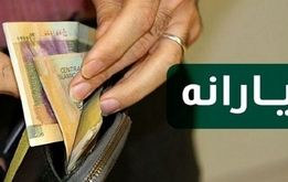 اتفاق مهم برای یارانه بگیران در شهریور ماه + فیلم