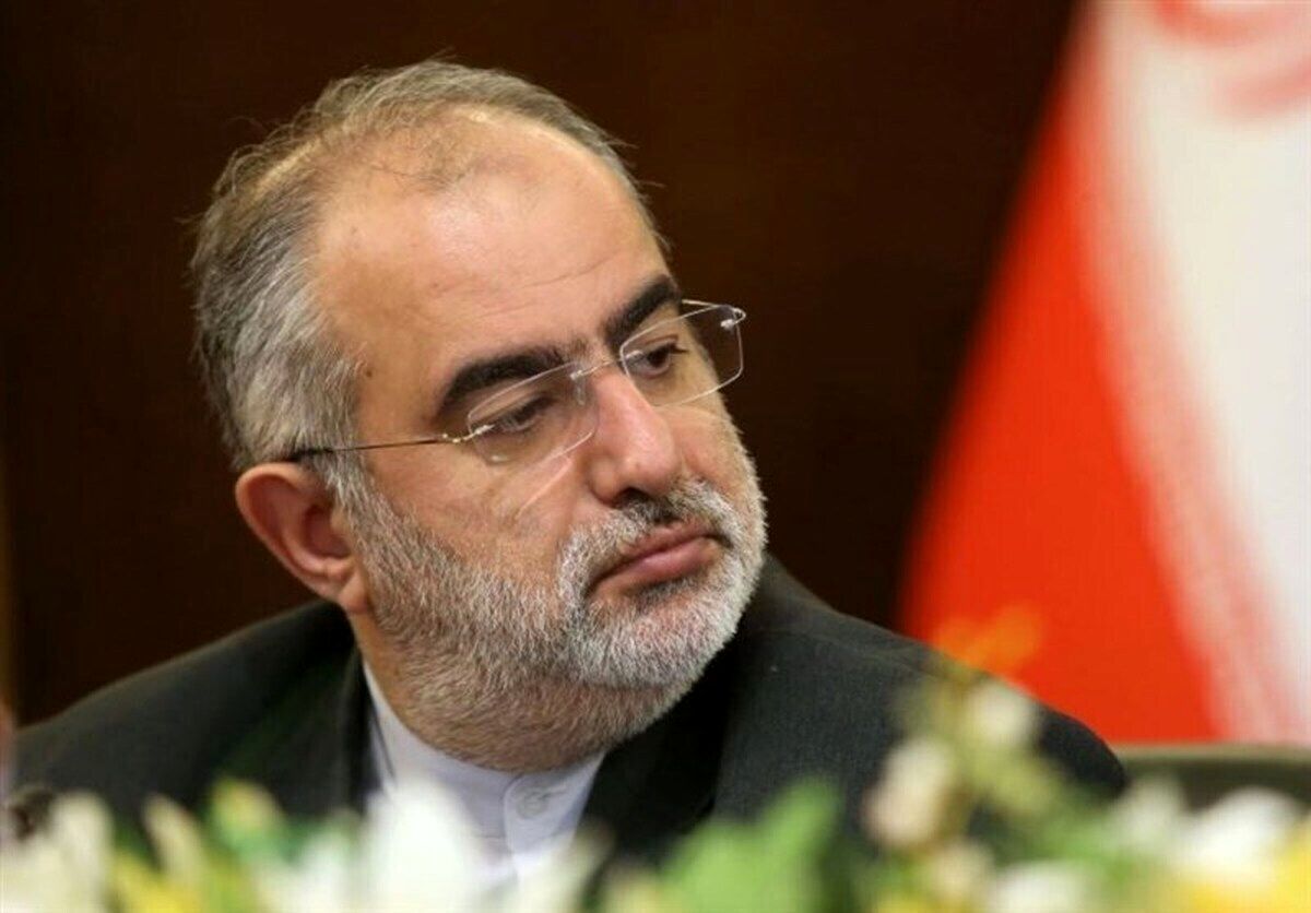حسام‌الدین آشنا پاسخ منتقدان دولت روحانی برای اسنپ‌بک را داد+عکس