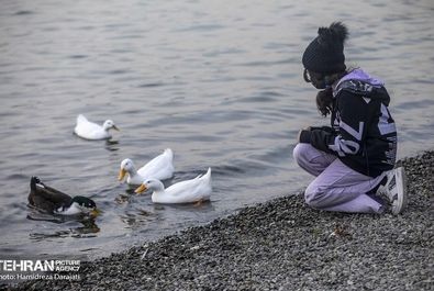 مهاجران اروپای شرقی به تهران آمدند