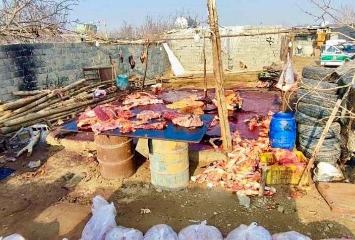 کشف کشتارگاه  اسب و الاغ در اسلامشهر + عکس