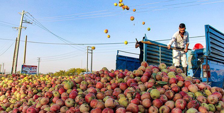 جزئیات خشک شدن دریاچه ارومیه با سیب های فاسد/ ماجرا چه بود؟ 